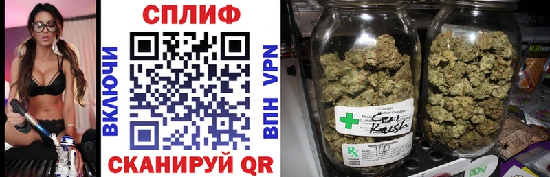 Канабис Bruce Banner  Кудымкар 